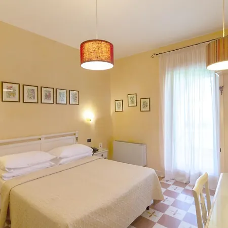 Rosa Antico 4*