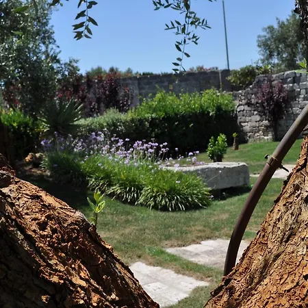 Hotel Rosa Antico 4*